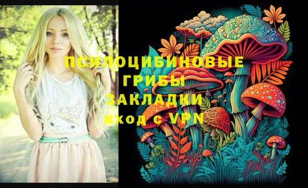марки nbome Богородицк