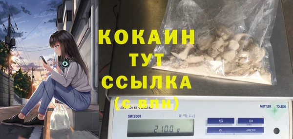 индика Новый Уренгой