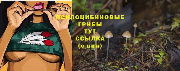 марки nbome Богородицк