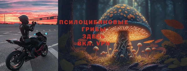 МДМА Богданович
