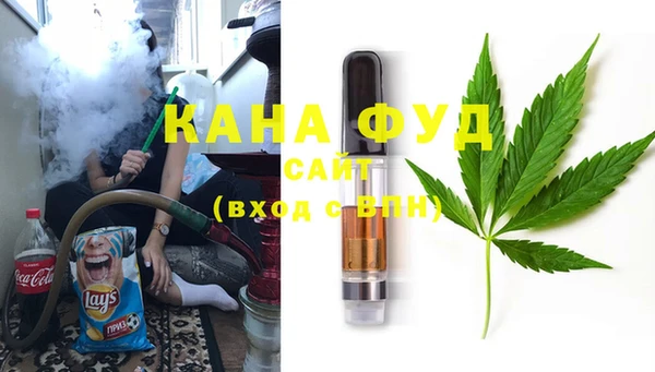 индика Новый Уренгой